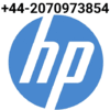HP PRINTER SUPPORT
