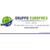 GRUPPO EUROFREX SA DE CV